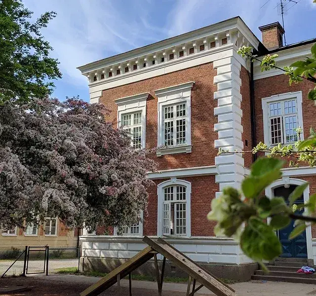 An image uploaded to Strapi